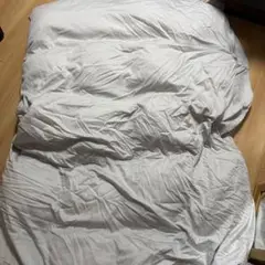 【中に破れあり】羽毛布団シーツ込み