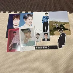seventeen wonwooカード　シールセット