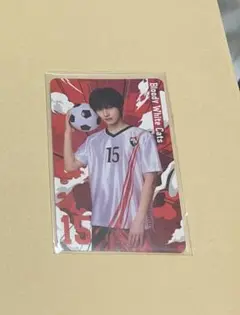Item thumbnail for item 82bb786b-ef03-41a5-9569-fc56cc7911a8