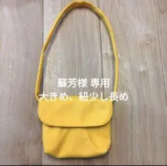 Item thumbnail for item cf8f0dfc-3fa1-470a-a27c-5c9da56b78d5