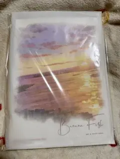【匿名配送・即購入可】BANANAFISH ART & STAFF BOOK 匿名配送・即購入可】BANANAFISH ART & STAFF BOOK