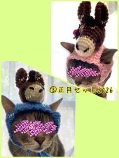 ③正月セット.干支.午年.雄馬.牝馬.正月.新年.1月.ニット帽.猫.被り物