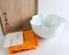 Item thumbnail for item 9a27db74-78df-4395-9919-c507fb06ffc5