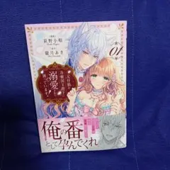 元仔狼の冷徹国王陛下に溺愛されて困っています! 1