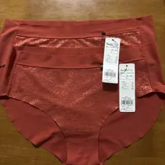 トリンプ スロギーLサイズ ショーツ2枚セット