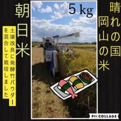 晴れの国岡山のお米☆希少朝日米5kg☆【令和4年産新米】発酵竹パウダー乳酸菌米作