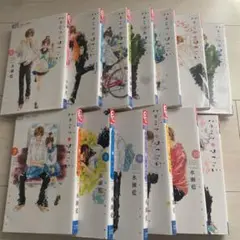 ハチミツにはつこい　全12巻
