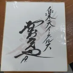 野村克也 直筆サイン 色紙 落款朱肉印 野村沙知代解説書きあり 野村克也 直筆サイン 色紙 落款朱肉印 野村沙知代解説書きあり