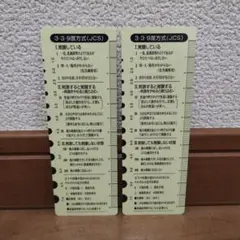 新品☆瞳孔計測表　意識レベルスケール表　2枚