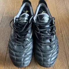 Mizuno モレリアネオ3