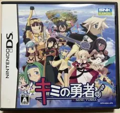 希少品　キミの勇者　ニンテンドーDSソフト レア】 キミの勇者 ニンテンドー DS ソフト 動作確認済み - メルカリ
