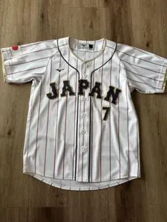 Item thumbnail for item edc9ec1a-418d-465d-96f4-41ae90d7cdd9