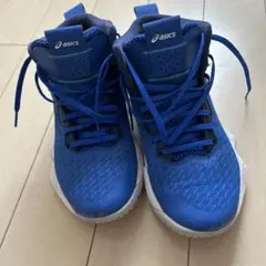 asics アシックス　バッシュ