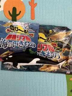 のび〜る　最強リアル　海のいきもの　シャチ