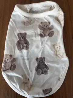 Item thumbnail for item 31166aad-ba9b-4b0b-a03b-a898e4f29fe1