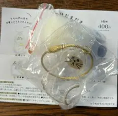 1☆ 【正規品】　シャム　うちの子のけだまだま 1点