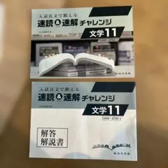 速読＆速解チャレンジ 文学11