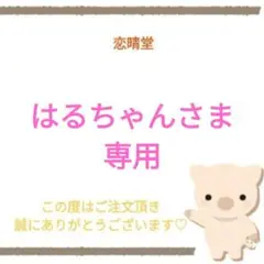 はるちゃんさま専用