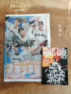 青春ジャイアンツ　記念新聞　　巨人　読売ジャイアンツ　非売品