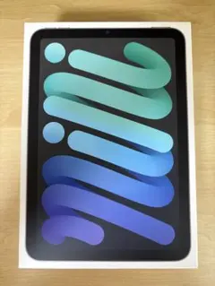 iPad mini Wi-Fi Cellular 256GB スペースグレイ