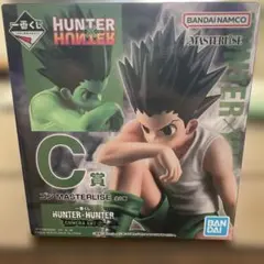 HUNTER×HUNTER ゴン C賞 フィギュア