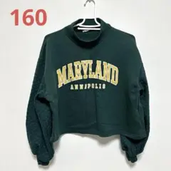 MARYLAND ANNAPOLIS クロップドスウェット　グリーン　スウェット