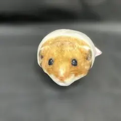もっちりある　ハムスター