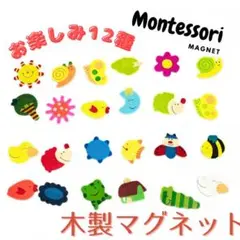 木製 マグネット 12個セット ランダム 可愛い 知育玩具 磁石 モンテッソーリ