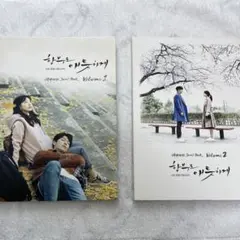 ★廃盤　希少★韓国ドラマ「むやみに切なく」OST CD サウンドトラック ☆廃盤 希少☆韓国ドラマ「むやみに切なく」OST CD サウンド
