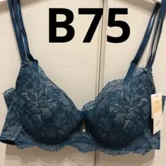 Wing/Wacoal ウイング/ワコール レシアージュ ブラジャー B75
