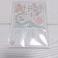 年賀状じまい2025 巳年 新年お知らせ 私製10枚入り
