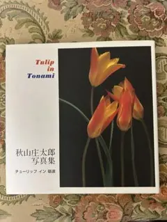 Tulip in Tonami 秋山庄太郎 写真集