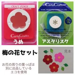 815　新品梅の花セット　■カーラクラフトパンチ本体花もも桃うめアスタリスク