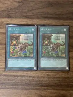 遊戯王OCG RC02-JP041 隣の芝刈り SR 2枚