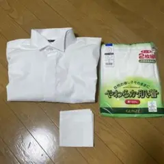 Item thumbnail for item d9f590ce-b5fa-411f-bf1b-b799c553dbdd