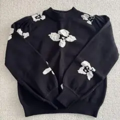 Item thumbnail for item 0a2a39db-2aee-4a32-ab26-40c69f53d778