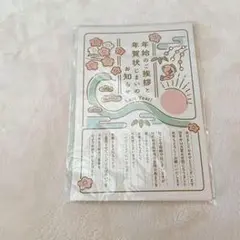 春の花のぽち袋 お年玉袋