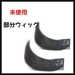 エクステ 部分ウィッグ ヘアピース 人毛100% ポイントウィッグ 付け毛