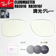 カット済み！　調光グレー【ReVision】RB3016　交換レンズ　レイバン