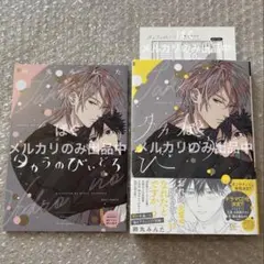 特典付 タカラのびいどろ