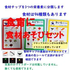 食材あそびセット(食材増量版）114種類　3色食品群に