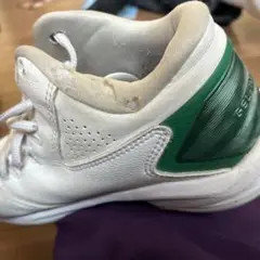 Item thumbnail for item 5810ead7-40b8-47ee-9e4d-604a69ce0936