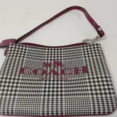 美品 COACH チェック柄ポーチ コーチ パスケース