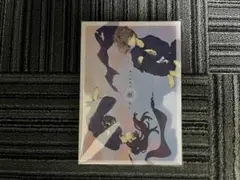 忍たま同人誌■250p再録■あえかなる星/鉢尾、鉢屋×尾浜■そこでねる/青菜