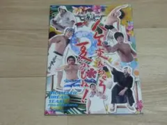 【中古品】DDTプロレス 両国ピーターパン2014　パンフレット