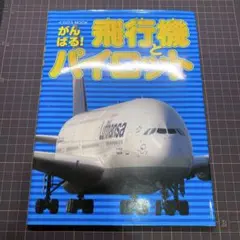 がんばる!飛行機とパイロット