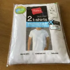 Hanes ヘインズ クルーネックTシャツ メッシュ 2枚組 L メンズ 白
