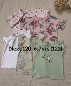 Next ネクスト トップス 120 6-7yrs(122)