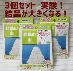 プチ研究シリーズ 結晶がみるみる大きくなる！ 3箱セット 夏休み自由研究等に