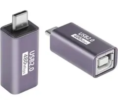 【新品】SinLoon USB C-USB Bアダプタ